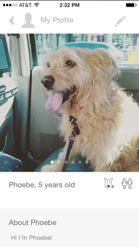 Phoebe in the car. (Photo: Tindog)