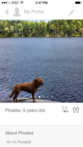Phoebe, post-swim. (Photo: Tindog)