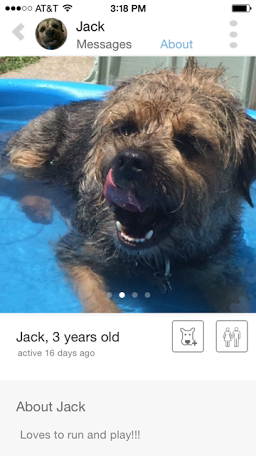 Jack, from Staten Island. Photo: Tindog)