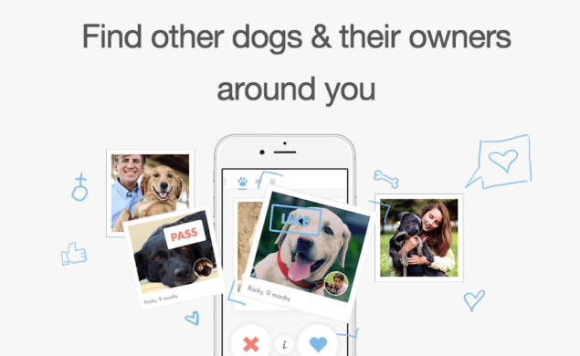 From Tindogs website. Photo: Tindog.com)