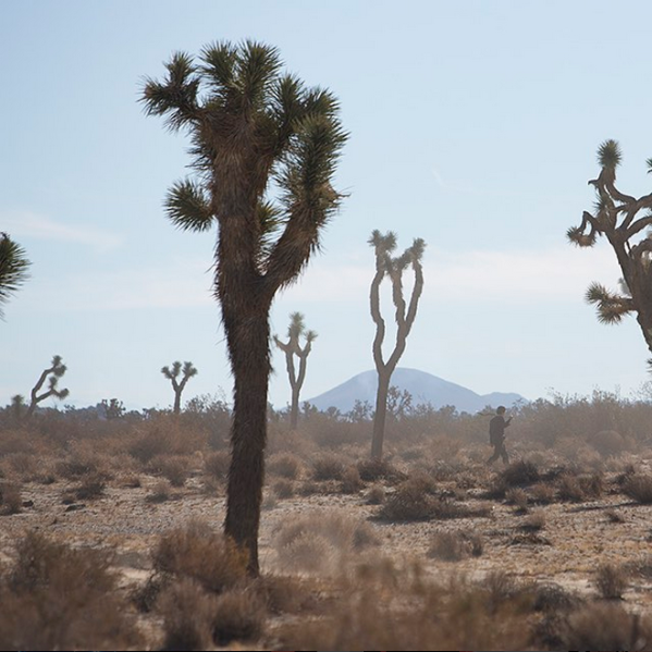 Johnny Depp is said to play a "hero in an epic road movie." (Photo: Instagram/Dior)