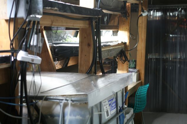Fish tanks sitting next to seedlings. (Photo: Brady Dale for Observer)