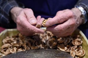 A man cracks open walnuts during the Paris international agricultural fair (LOIC VENANCE/AFP/Getty Images).
