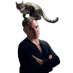 morrisey