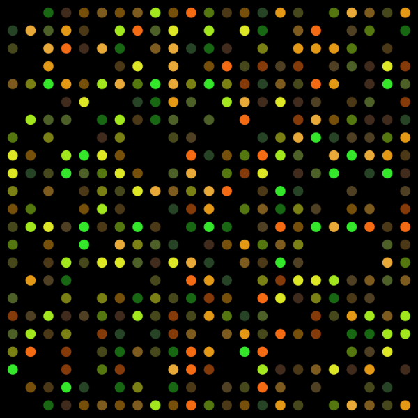 DNA microarray (Wikimedia Commons)