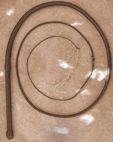 Hopefully, this whip wont be the fate of Mr. Andree on the grounds that he was in possession of homemade alcohol. The number of lashes? 350. (Photo: Cgoodwin/Wiki Commons)