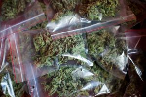 Six men were caught unloading about 3,000 pounds of marijuana in Queens (Photo by Uriel Sinai/Getty Images).