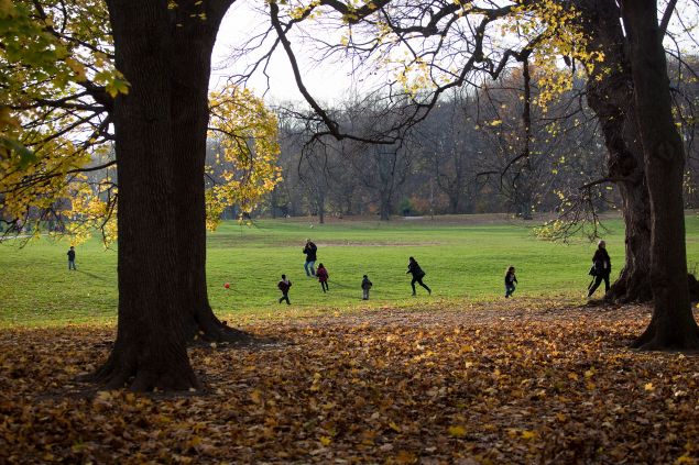 Three years after Sandy, Prospect Park is still re-planting trees (Photo by Michael Nagle/Getty Images).