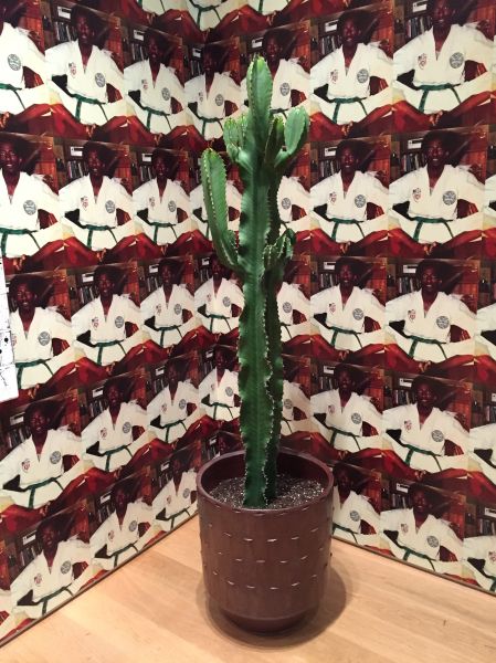 Self-Portrait, Jimmy Johnson, 1977, shown with a cactus included in the exhibition. (Photo: Alanna Martinez)