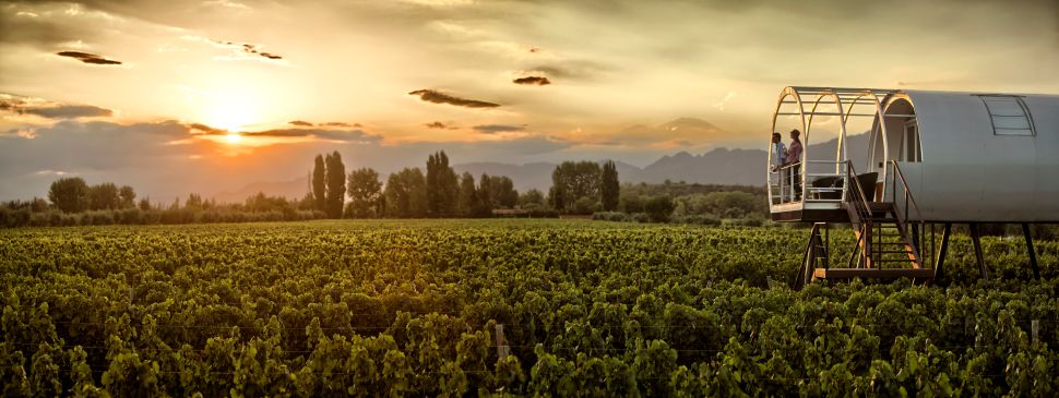 Entre Cielos Wine Loft (Photo: Entre Cielos).