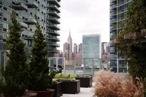 The seventh-floor roof at 4545 Center Boulevard is a 50,000-square-foot playground of evergreens, grasses and shrubs within wide stone planters. The view isn’t bad, either. Photo: Celeste Sloman for Observer