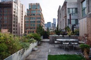 Rooftop garden, Tribeca. Photo: Celeste Sloman for Observer
