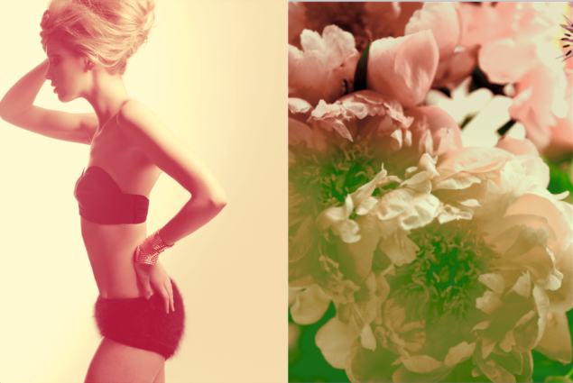 An example of a spread in the book (Photos: Kelly Klein).