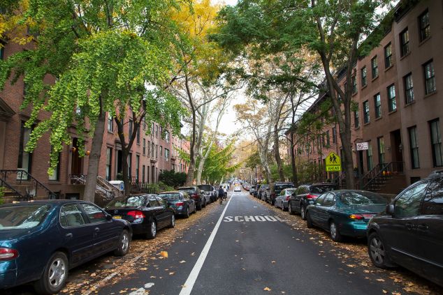 Brooklyn, brownstones, trees. (Kaitlyn Flannagan for Observer)