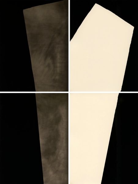 Alison Rossiter, Lumière Lumitra, exact expiration date unknown, ca. 1940's, processed 2015, 2015. (Photo: Courtesy of Yossi Milo Gallery)