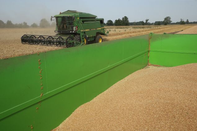 Freshly-harvested grains lie in a tractor's trailer on a farm (Photo: Sean Gallup/Getty Images).