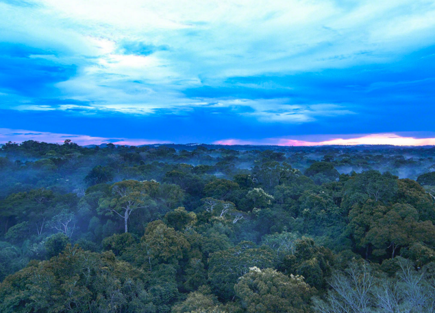 (Photo: