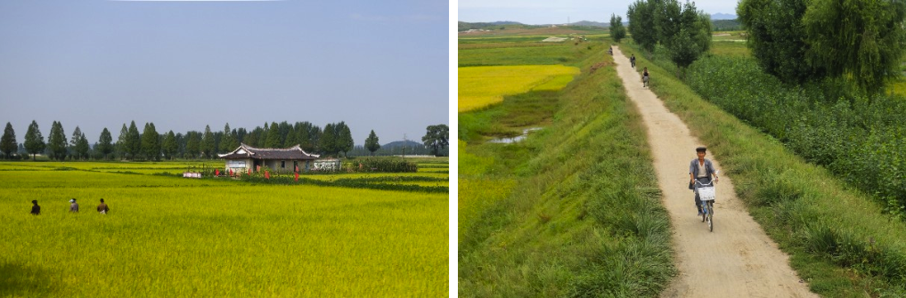 The North Korean countryside