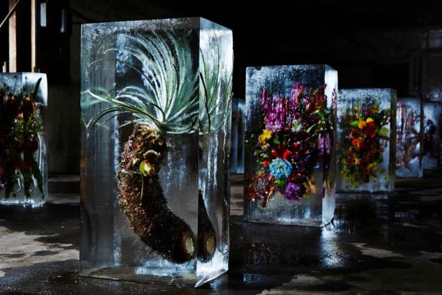 The "Iced Flowers" series by Azuma Makoto. (Courtesy Spoon-tamago.com)