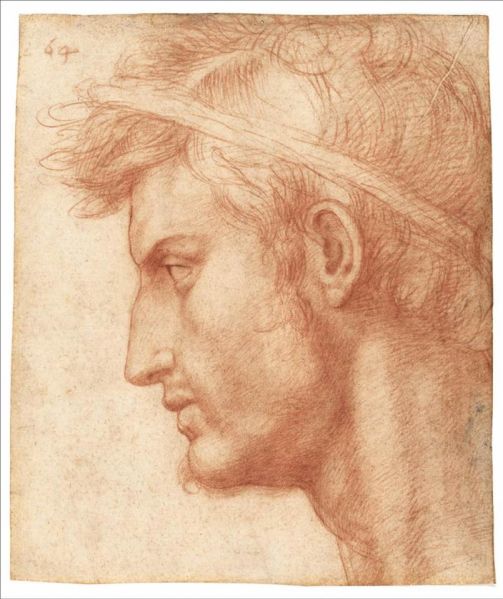 Julius Caesar by Andrea del Sarto.