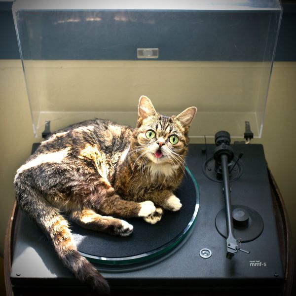 Bub: on the record. (Photo: Facebook)