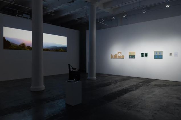 Anton Ginzburg: Hybrid Gaze, Installation view. (Photo: Courtesy Fridman Gallery)