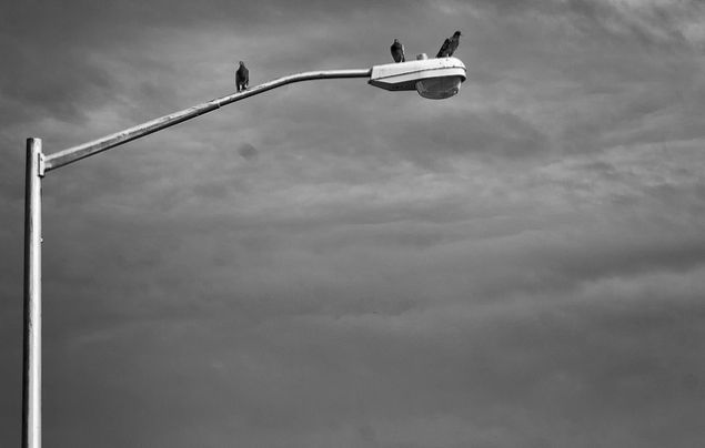 Michael Tapp/flickr.
