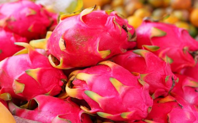dragon-fruit-ftr