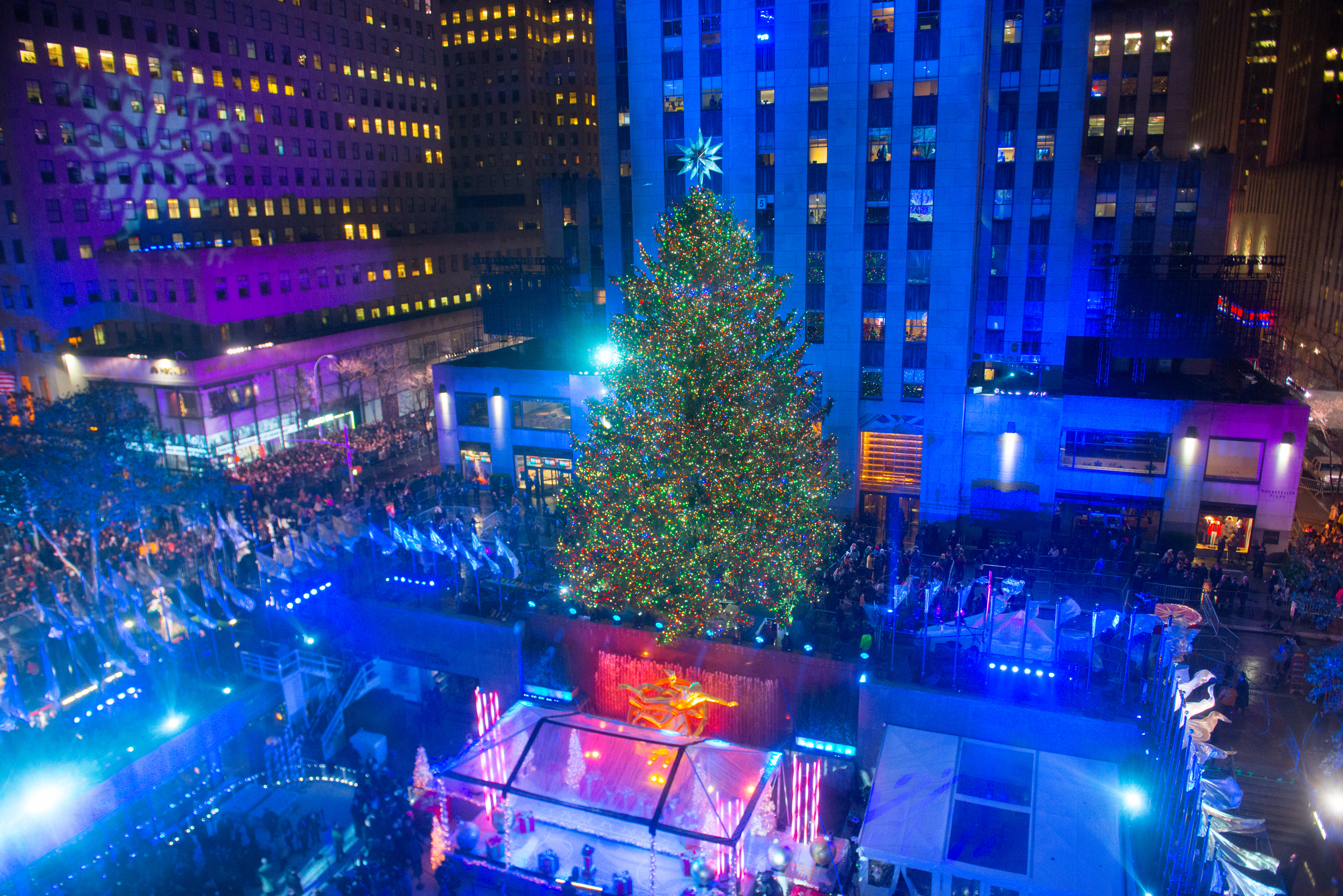 When you gather around the Christmas tree with your family, do you ever wonder: what does Gov. Andrew Cuomo think of this holiday? His press office—and those of other elected officials—have you covered . (Photo by Noam Galai/Getty Images)