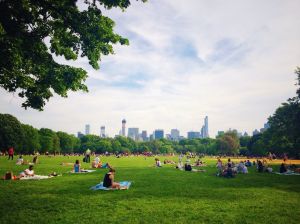 Central Park had the highest number of total crimes out of parks in the city.