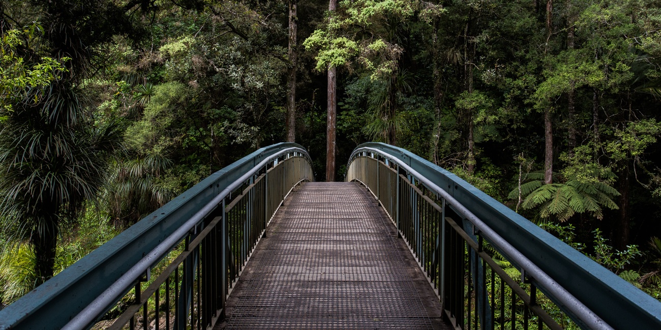 (Photo: Tim Swaan/Unsplash)