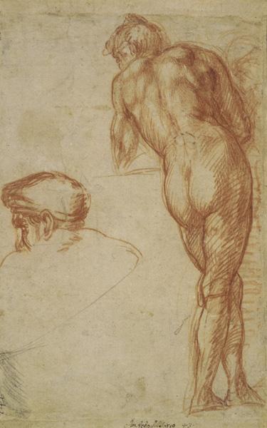 Study of a Nude Man Seen from Behind, Leaning on a Surface, and a Separate Study of His Head, ca. 1520 The British Museum; bequeathed by William Fawkener, 1769 Recto © The Trustees of the British Museum