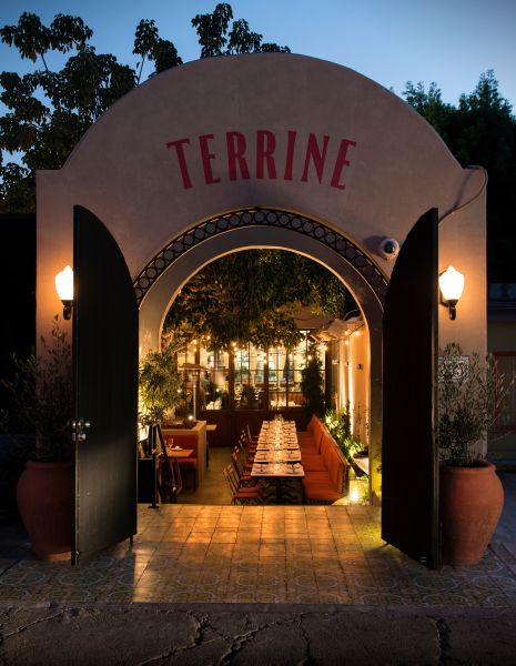 Terrine_garden 2_Jesus Banuelos