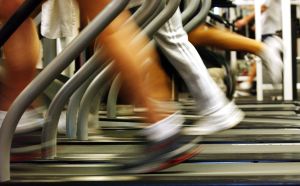 People run on treadmills at a New York Sports Club in Brooklyn.