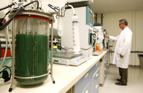 UNITED STATES - SEPTEMBER 18: Enrique Baliu, a scientist a Solazyme Inc., makes renewable diesel fuel in a laboratory at company headquarters in South San Francisco, California, U.S., on Friday, Sept. 18, 2009. Solazyme uses algal biotechnology to produce renewable oil and bioproducts. (Photo by Ken James/Bloomberg via Getty Images)