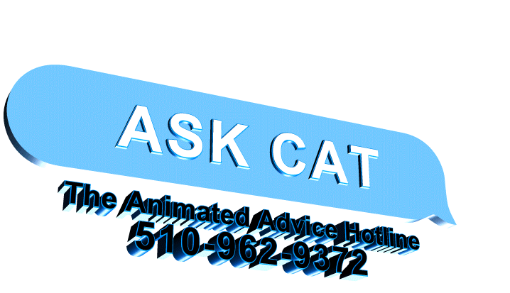 Now live... (Image: Ask Cat)