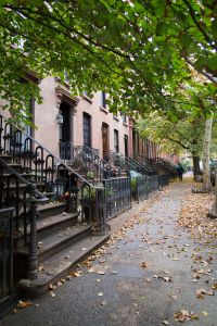 Carroll Gardens' tree-lined streets are now teeming with French people. (Photo by Kaitlyn Flannagan)
