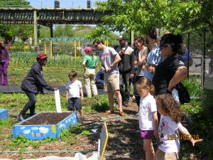 Families tend to plots at East New York Farms. (PHOTO: ENYF! staff)