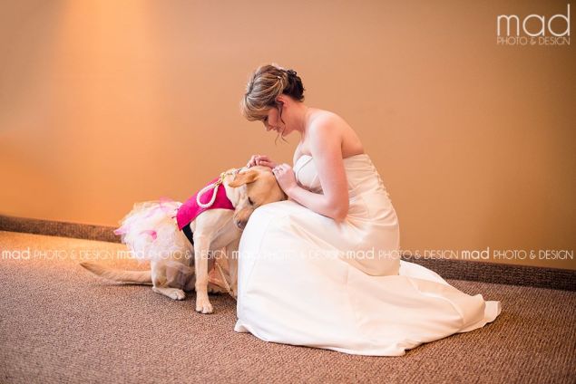 This photo became a viral news story after it was posted on Reddit. (Photo: Maddie Peschong)