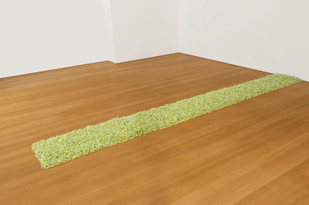 The Crystal Bridges Museum of American Art paid $7.7 million at Christie’s for Untitled (1991) by Felix Gonzalez-Torres. (Promised gift of Barbra Streisand in honor of the museum’s 50th anniversary)