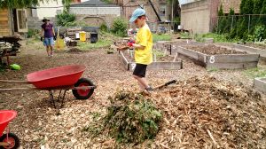 Tending to the plots at Maple Street Community Garden. (PHOTO: Alison Jacobs/Julia Stanat)