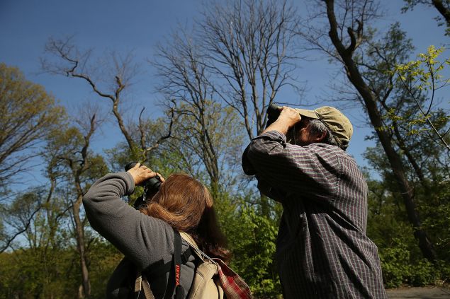 Bird watching in Prospect Park. (Photo: Spencer Platt/Getty Images)