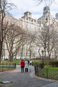 Theodore Roosevelt Park. (Jennifer Lu for Observer)
