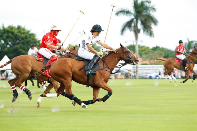 On Sunday, polo is the game to play. Or watch (Photo: Lila Photo).