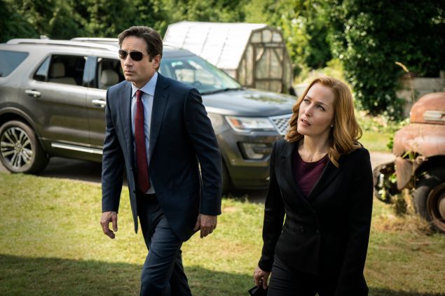 David Duchovny and Gillian Anderson.