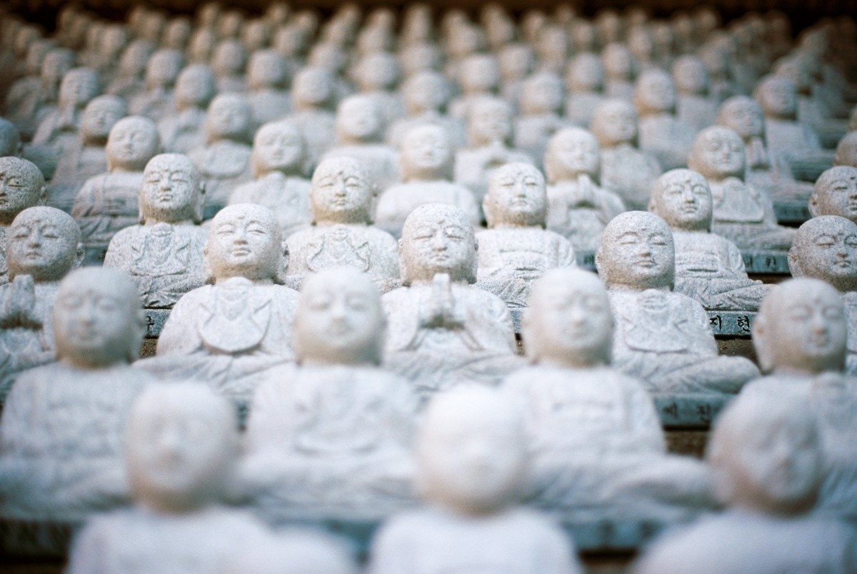 Parts of the brain that become active with romantic love are quiet during loving kindness meditation.
