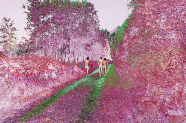 Sarah Anne Johnson, Pink Forest, 2015.