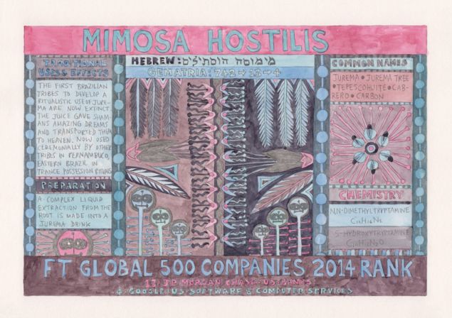 Suzanne Treister, HFT/Outsider artworks/Mimosa hostilis (Jurema) 2015. (Courtesy of the artist and P.P.O.W, New York)