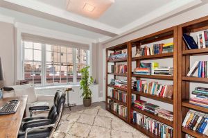 Bookshelves! (Ann Weintraub)