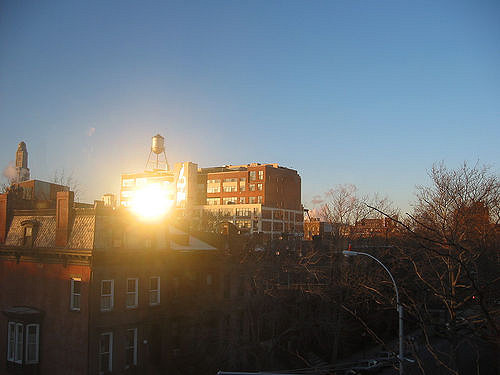 Prospect Heights, Brooklyn.